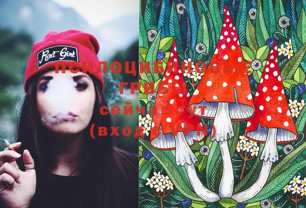 PSILOCYBIN Абаза