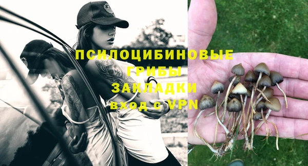 PSILOCYBIN Абаза