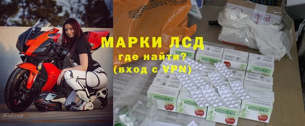 PSILOCYBIN Абаза