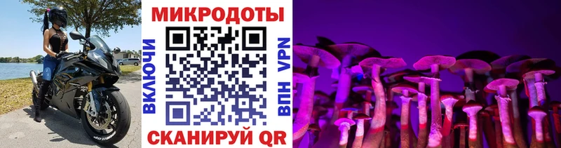 Галлюциногенные грибы Cubensis  купить наркоту  Мамадыш 